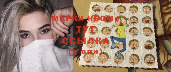 хмурый Жердевка