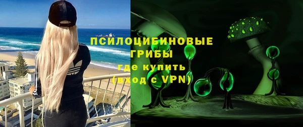 твердый Железноводск