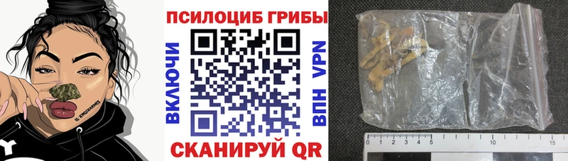 Галлюциногенные грибы GOLDEN TEACHER  где продают наркотики  MEGA   Печора 