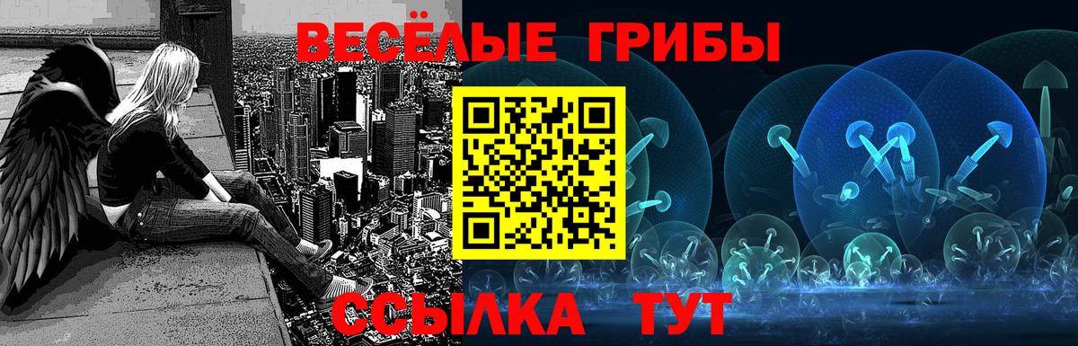 Галлюциногенные грибы ЛСД Печора