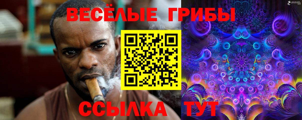 Печора  Псилоцибиновые грибы MAGIC MUSHROOMS  Вход с VPN 
